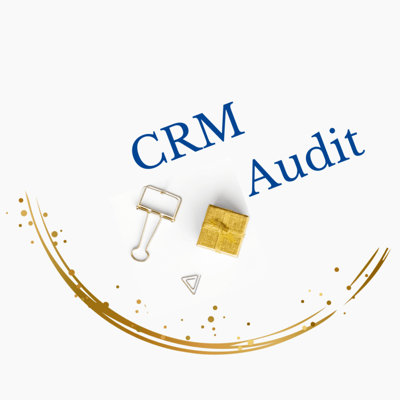 CRM Audit
